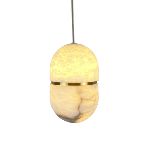 C9560